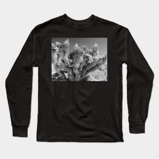 Joshua Tree Long Sleeve T-Shirt